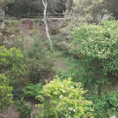Maison Romantique Dans Les Bois *