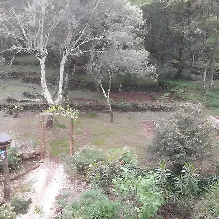 Maison Romantique Dans Les Bois *