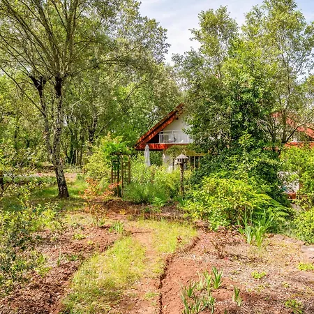 Maison Romantique Dans Les Bois
